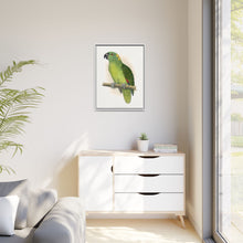 Lydon's Yellow-Naped Amazon | Vintage Parrot Wall Art Print