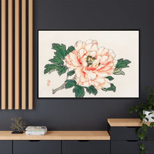 Pink rose by Kōno Bairei (1844-1895)