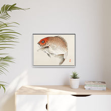 Tai (Red Seabream) fish by Kōno Bairei