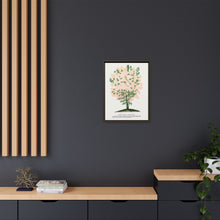 Purple Fringe tree lithograph. Digitally enhanced from our own original 1900 edition plates of Botanical Specimen published by Rochester Lithographing