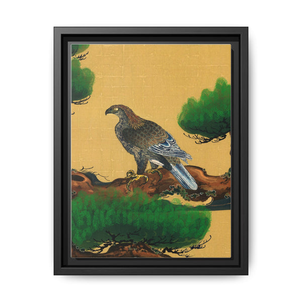 Pine and Eagle, a traditional portrait of a charismatic Japanese eagle by Kano Tanyu (1602-1674) - NOMADEN ART GALLERY