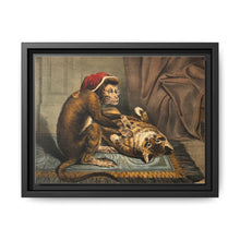 A monkey physician examining a cat patient for fleas. Coloured lithograph - NOMADEN ART GALLERY
