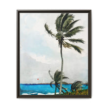 Palm Tree, Nassau (1898) by Winslow Homer - NOMADEN ART GALLERY