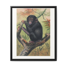 The Chimpanzee from Zoological sketches (1861-1867) by Joseph Wolf and Philip Lutley Sclater. - NOMADEN ART GALLERY