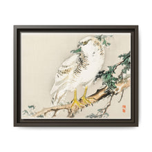 Northern mockingbird by Kōno Bairei (1844-1895) - NOMADEN ART GALLERY