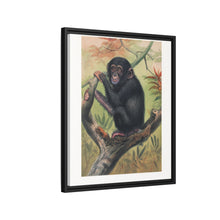 The Chimpanzee from Zoological sketches (1861-1867) by Joseph Wolf and Philip Lutley Sclater.