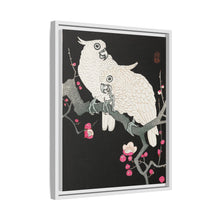 Two cockatoo and plum blossom (1925 - 1936) by Ohara Koson