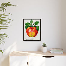Wolf River Apple Lithograph | Vintage Botanical Wall Art Print