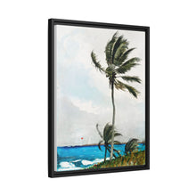 Palm Tree, Nassau (1898) by Winslow Homer