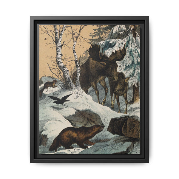 An elk and its young walking through a snowy landscape, with two wolverines watching on. Colour lithograph