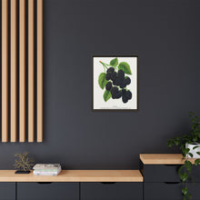 Snyder Blackberry lithograph from Botanical Specimen published by Rochester Lithographing