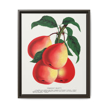 Vermont Beauty pear lithograph. Digitally enhanced from our own original 1900 edition plates of Botanical Specimen published by Rochester Lithographing - NOMADEN ART GALLERY