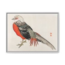Japanese pheasant by Kōno Bairei (1844-1895) - NOMADEN ART GALLERY