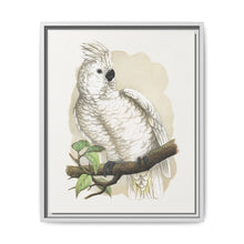 Great White-Crested Cockatoo (Cacatua alba) colored wood-engraved plate by Alexander Francis Lydon - NOMADEN ART GALLERY