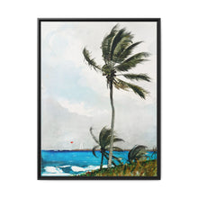 Palm Tree, Nassau (1898) by Winslow Homer - NOMADEN ART GALLERY