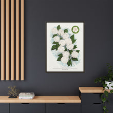 Japanese snowball flower lithograph. Digitally enhanced from our own original 1900 edition plates of Botanical Specimen published by Rochester Lithographing