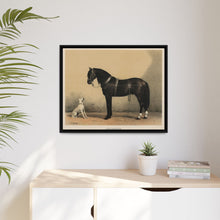 Orloffer (Orloff Horse) by Emil Volkers (1880) - An illustration of a black horse and a white dog - NOMADEN ART GALLERY