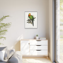 Barraband's Parakeet (Polytelis swainsonii) colored wood-engraved plate by Alexander Francis Lydon
