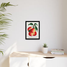 Vermont Beauty pear lithograph. Digitally enhanced from our own original 1900 edition plates of Botanical Specimen published by Rochester Lithographing