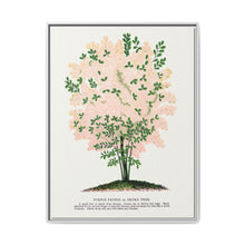 Purple Fringe tree lithograph. Digitally enhanced from our own original 1900 edition plates of Botanical Specimen published by Rochester Lithographing - NOMADEN ART GALLERY