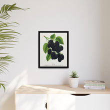 Snyder Blackberry lithograph from Botanical Specimen published by Rochester Lithographing