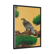 Pine and Eagle, a traditional portrait of a charismatic Japanese eagle by Kano Tanyu (1602-1674)