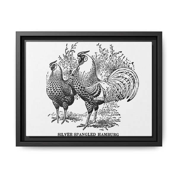 Vintage chicken drawing from our own original copy of The Open Door to Independence (1915) by Thomas E. Hill. - NOMADEN ART GALLERY