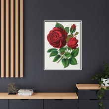 Red Rose, Prince Camille De Rohan Lithograph