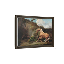 Horse Frightened by a Lion (1762–1768) by George Stubbs