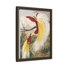 Birds of Paradise: Vintage Natural History Art by Benjamin Fawcett (1808 - 1893)