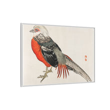 Japanese pheasant by Kōno Bairei (1844-1895)