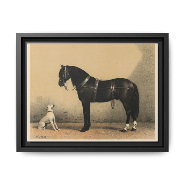 Orloffer (Orloff Horse) by Emil Volkers (1880) - An illustration of a black horse and a white dog - NOMADEN ART GALLERY