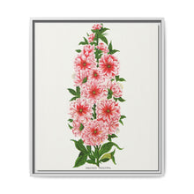 Prunus Triloba flower lithograph. Digitally enhanced from our own original 1900 edition plates of Botanical Specimen published by Rochester Lithographing - NOMADEN ART GALLERY