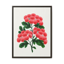 Paul's New Double Flowering Thorn lithograph. Digitally enhanced from our own original 1900 edition plates of Botanical Specimen published by Rochester Lithographing - NOMADEN ART GALLERY