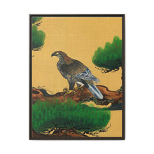Pine and Eagle, a traditional portrait of a charismatic Japanese eagle by Kano Tanyu (1602-1674) - NOMADEN ART GALLERY