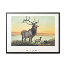 The Wapiti from Zoological sketches (1861-1867) by Joseph Wolf and Philip Lutley Sclater - NOMADEN ART GALLERY