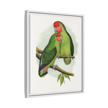 Rosy-Faced Love-Bird (Agapornis roseicollis) colored wood-engraved plate by Alexander Francis Lydon.