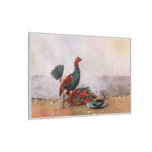 The Cock Fight (1885) by Winslow Homer