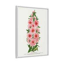 Prunus Triloba flower lithograph. Digitally enhanced from our own original 1900 edition plates of Botanical Specimen published by Rochester Lithographing