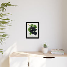Snyder Blackberry lithograph from Botanical Specimen published by Rochester Lithographing - NOMADEN ART GALLERY