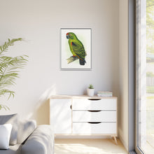 Placa grabada en madera de color loro de Jardine (Poicephalus gulielmi gulielmi) de Alexander Francis Lydon. 