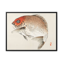 Tai (Red Seabream) fish by Kōno Bairei - NOMADEN ART GALLERY