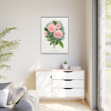 Pink rose, Clothilde Soupert lithograph. Digitally enhanced from our own original 1900 edition plates of Botanical Specimen published by Rochester Lithographing
