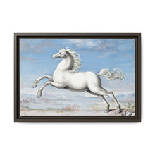 White horse (1552–1601) by Joris Hoefnagel - NOMADEN ART GALLERY