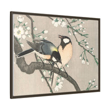 Tits on Cherry Branch (1900–1910) by Ohara Koson