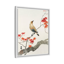 Japanese plague bird on maple (1900 - 1936) by Ohara Koson