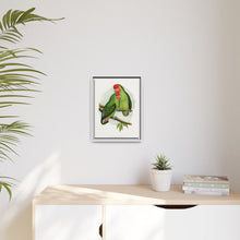 Rosy-Faced Love-Bird (Agapornis roseicollis) colored wood-engraved plate by Alexander Francis Lydon.