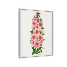 Prunus Triloba flower lithograph. Digitally enhanced from our own original 1900 edition plates of Botanical Specimen published by Rochester Lithographing