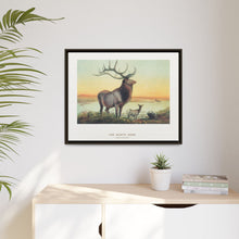 The Wapiti from Zoological sketches (1861-1867) by Joseph Wolf and Philip Lutley Sclater