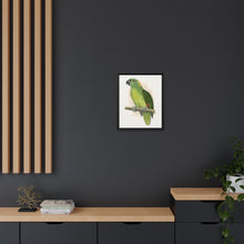 Lydon's Yellow-Naped Amazon | Vintage Parrot Wall Art Print